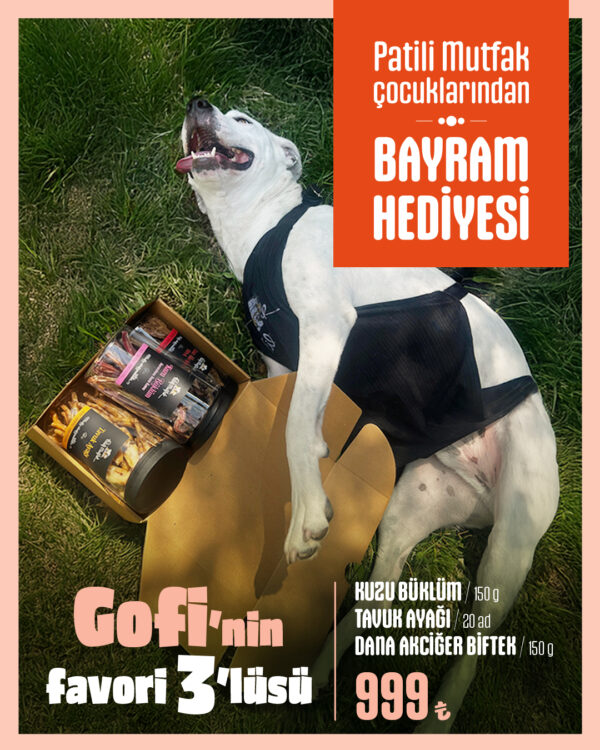 Gofi'nin Favori 3'lüsü - Ödül Maması Seti - Görsel 2