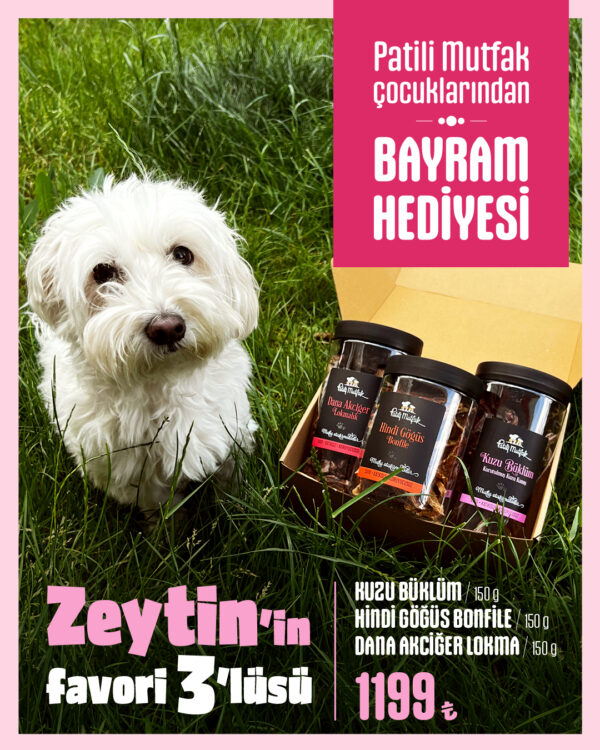 Zeytin'in Favori 3'lüsü - Ödül Maması Seti - Görsel 2