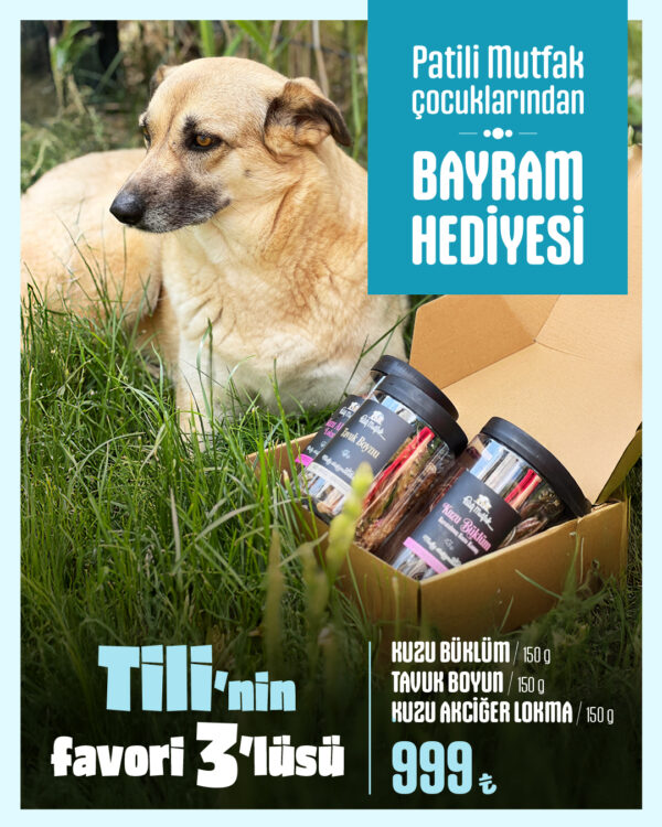 Tili’nin Favori 3’lüsü – Ödül Maması Seti - Görsel 2