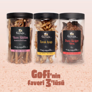 Gofi'nin Favori 3'lüsü - Ödül Maması Seti